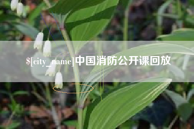 黔西中国消防公开课回放