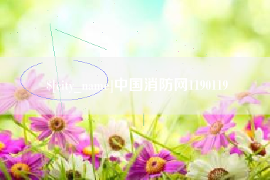 黔西中国消防网1190119