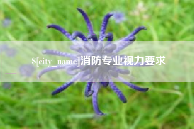 黔西消防专业视力要求