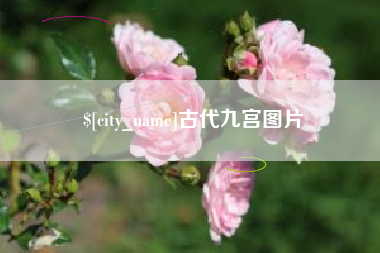 黔西古代九宫图片