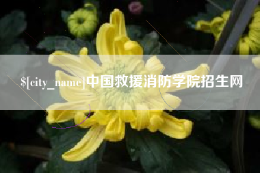 黔西中国救援消防学院招生网