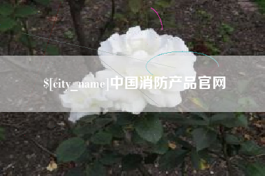 黔西中国消防产品官网