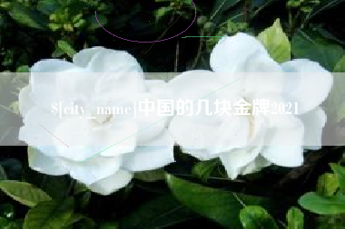 黔西中国的几块金牌2021