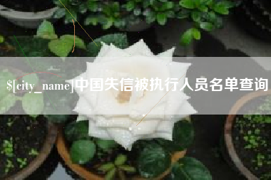 黔西中国失信被执行人员名单查询