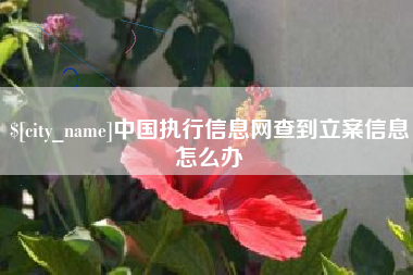 黔西中国执行信息网查到立案信息怎么办