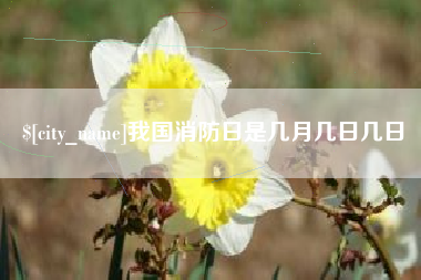 黔西我国消防日是几月几日几日