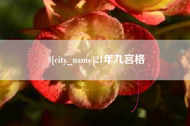黔西21年九宫格