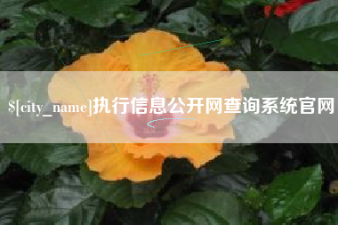 黔西执行信息公开网查询系统官网