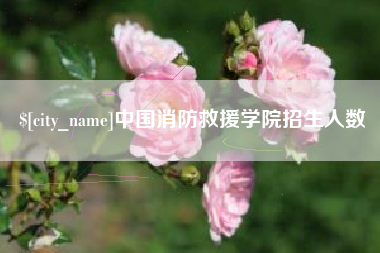 黔西中国消防救援学院招生人数