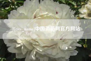 黔西中国消防网官方网站