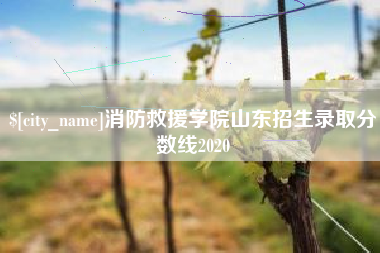 黔西消防救援学院山东招生录取分数线2020
