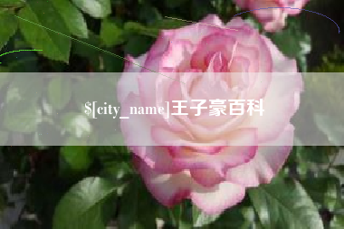 黔西王子豪百科
