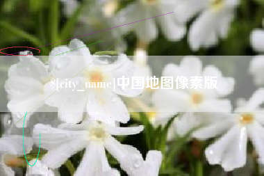 黔西中国地图像素版
