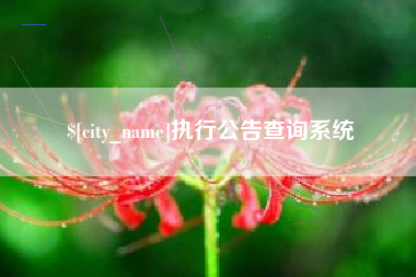 黔西执行公告查询系统