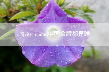 黔西中国金牌都是啥