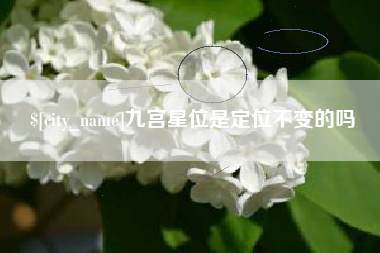 黔西九宫星位是定位不变的吗