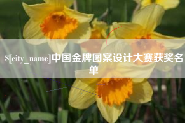 黔西中国金牌图案设计大赛获奖名单