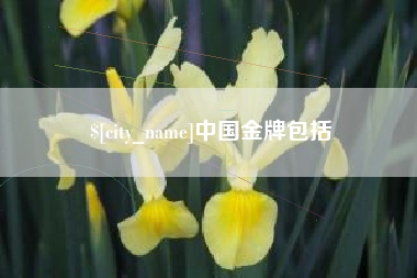 黔西中国金牌包括