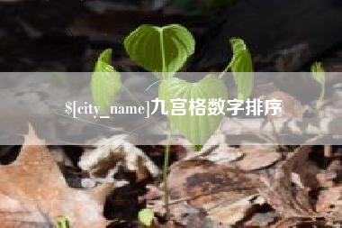 黔西九宫格数字排序