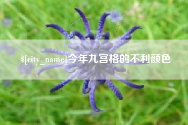 黔西今年九宫格的不利颜色