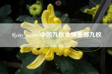 黔西中国九枚金牌是哪九枚