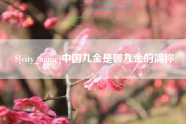 黔西中国九金是哪九金的简称