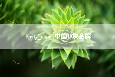 黔西中国19块金牌