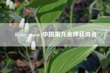 黔西中国第九金牌获得者
