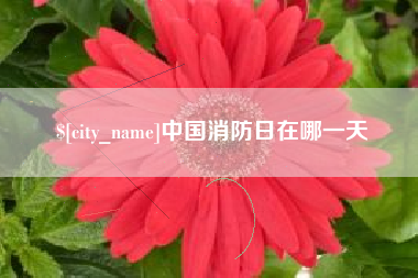 黔西中国消防日在哪一天