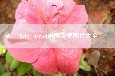 黔西中国金牌图片大全