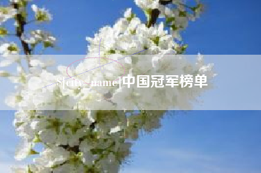 黔西中国冠军榜单