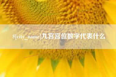 黔西九宫宫位数字代表什么
