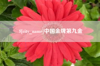 黔西中国金牌第九金