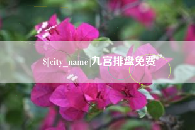 黔西九宫排盘免费
