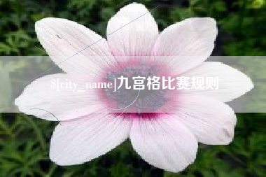 黔西九宫格比赛规则