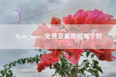黔西免费卫星地图哪个好