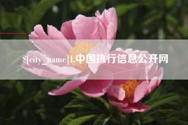 黔西1.中国执行信息公开网