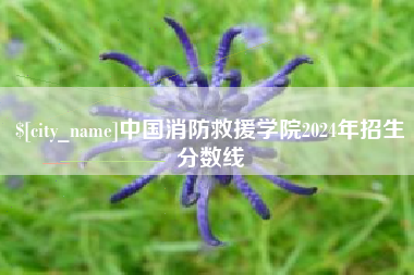 黔西中国消防救援学院2024年招生分数线