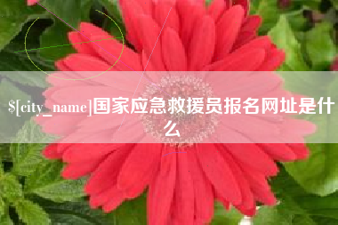 黔西国家应急救援员报名网址是什么