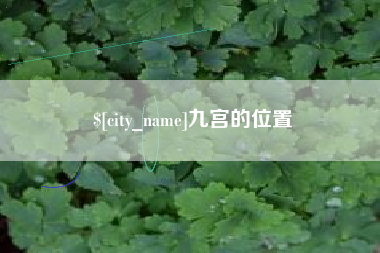 黔西九宫的位置