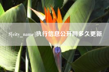 黔西执行信息公开网多久更新