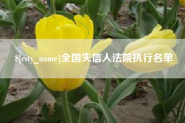 黔西全国失信人法院执行名单