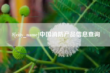 黔西中国消防产品信息查询