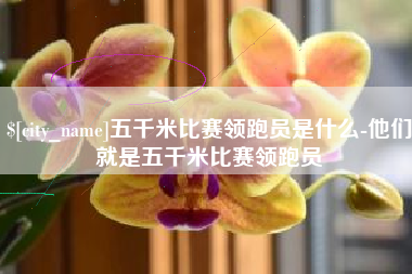 黔西五千米比赛领跑员是什么-他们就是五千米比赛领跑员