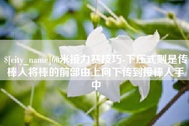 黔西60米接力赛技巧-下压式则是传棒人将棒的前部由上向下传到接棒人手中
