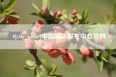 黔西中国消防报考中心官网