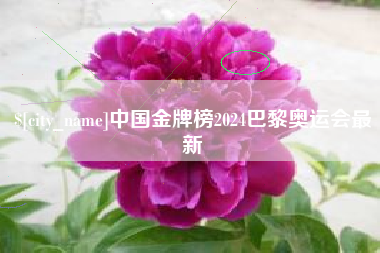 黔西中国金牌榜2024巴黎奥运会最新