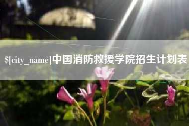 黔西中国消防救援学院招生计划表