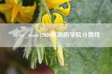 黔西2020年消防学院分数线