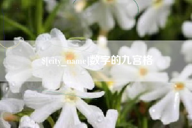 黔西数字的九宫格